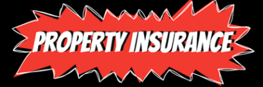 Property/Liability Insurance